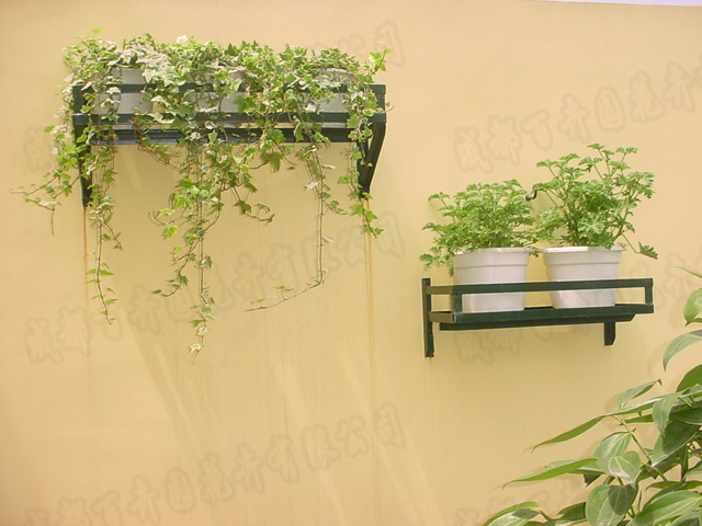 成都花卉租摆公司