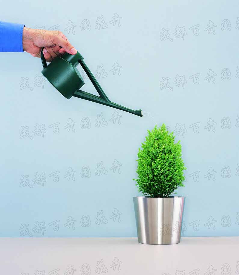 成都植物租摆中的植物花卉用温水浇有哪些好处