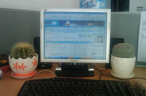 成都花卉租赁公司