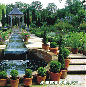 成都植物花卉租赁注意事项