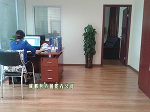 植物租赁,成都植物租赁,成都武侯区植物租赁