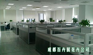 植物租赁,成都植物租赁就找成都百卉园花卉租赁有限公司