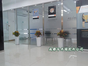 成都绿植租赁,基地直供,品种多,价格低