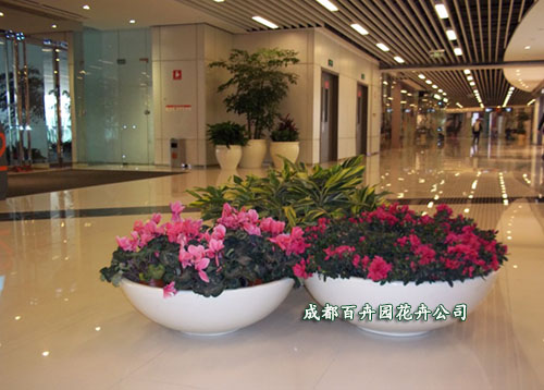 商场植物租摆方案