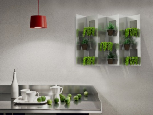 成都植物租赁公司