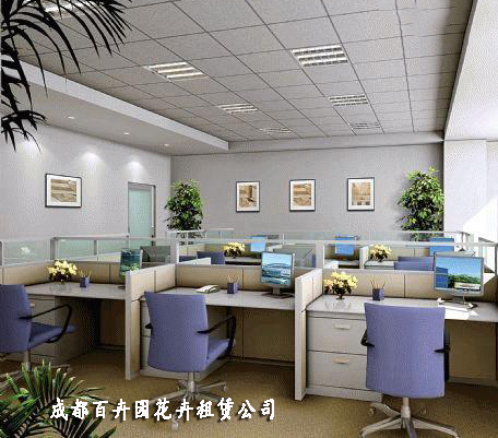 成都花卉租赁公司