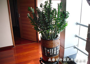 成都植物租赁公司