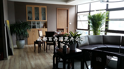 成都花卉租赁公司之盆栽花卉与水的关系