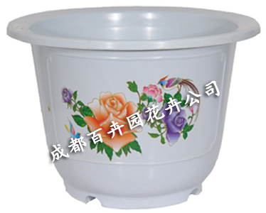 成都花卉出租公司