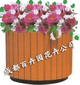 成都花卉出租公司