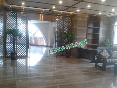 成都植物出租公司