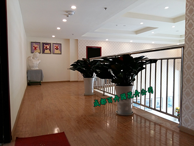 成都盆栽植物租赁公司