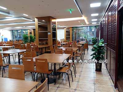 【成都花卉租摆公司】设计4S店花卉租摆方案