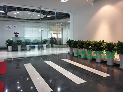 成都盆栽植物租赁多少钱、花卉租摆报价、绿植出租单价