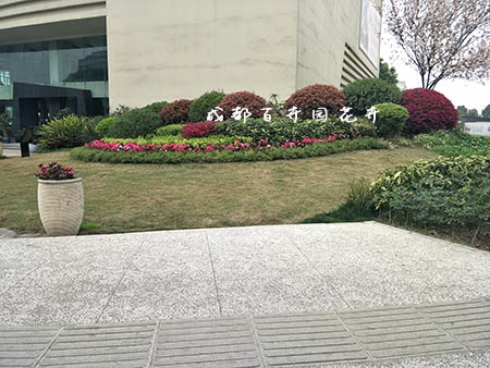 办公室绿植租摆设计方案