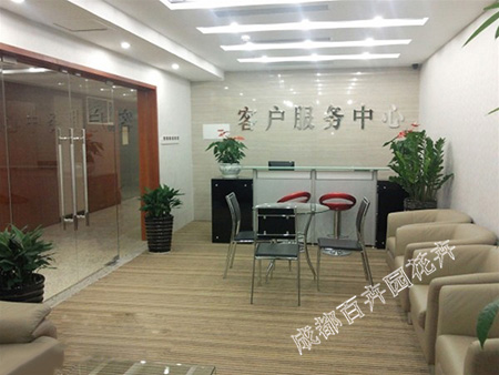 办公室租赁花卉绿植