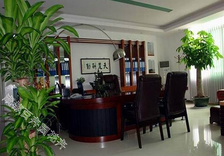 办公室租摆花卉绿植