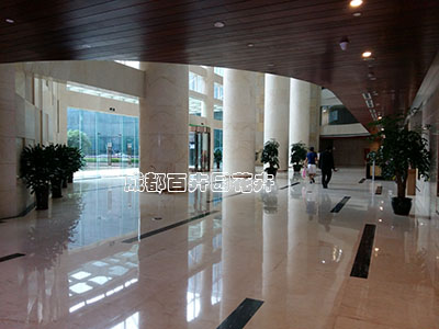 成都租赁花卉绿植的收费标准价格与计算方法