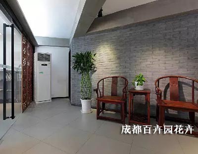 成都植物租赁有哪些流程及注意点