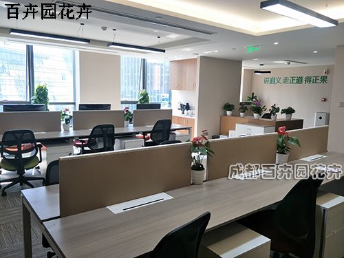 2018成都绿植租摆价格收费有标准吗？