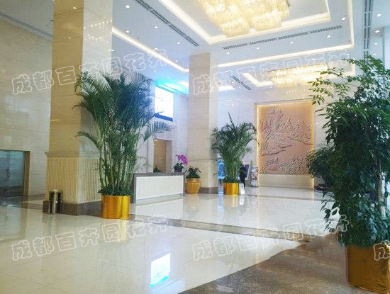 成都酒店绿植租摆方案