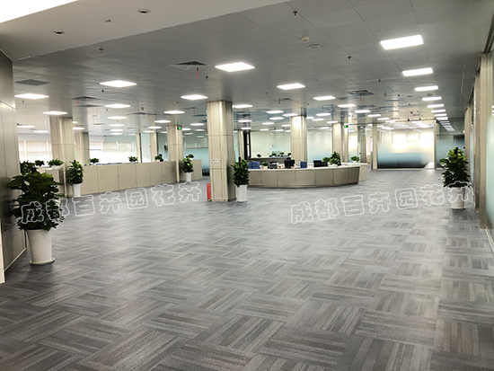写字楼办公室的绿植租摆方案