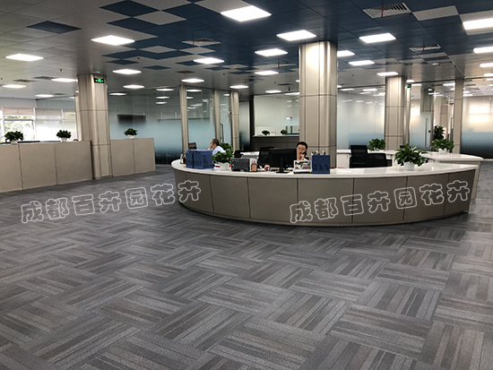 成都绿植租摆设计方案免费吗