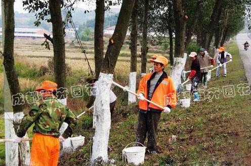 成都园林绿化养护公司