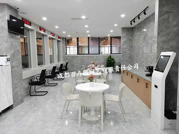 绿植租赁的成本，该如何计算？