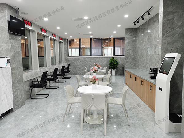 办公室绿植租赁价格是怎么收费的