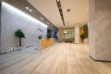 办公室盆栽植物租摆案例