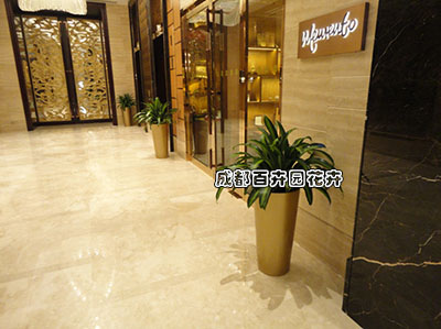 某星级酒店植物租摆案例