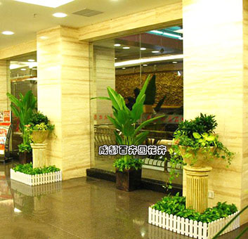 某房产公司成都售楼部绿植租摆案例及布置方案