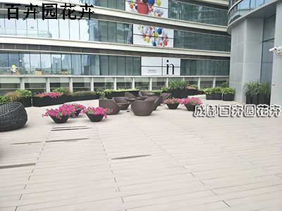 成都某酒楼休息区花卉租摆案例