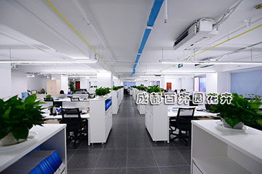 办公室植物摆放案例
