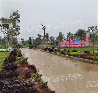 成都某游乐场绿化苗木栽种施工案例