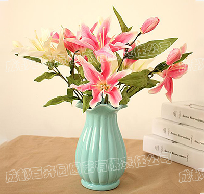 成都植物租赁-花艺插花定制