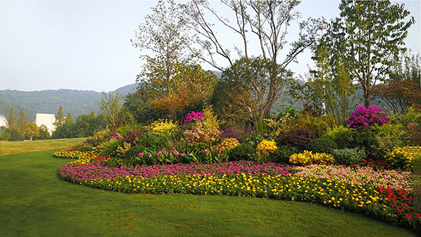花镜景观设计植物配置种植 花镜景观设计植物配置种植