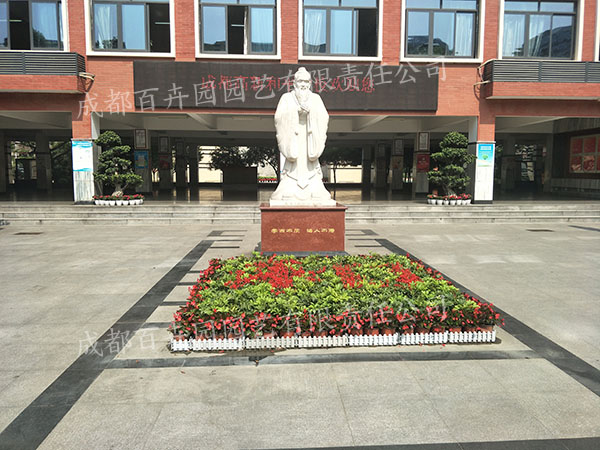 某学校成都花卉植物租摆案例