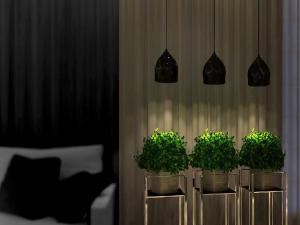 成都植物租摆之室内植物的作用您还知多少 ？