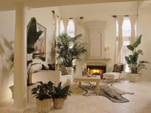 成都花卉租摆中对办公室究竟是如何做好环境美化工作的