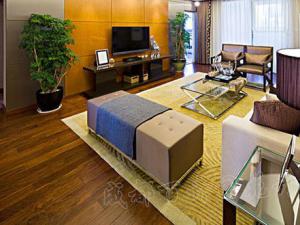 成都租植物对室内风水植物摆设带来的好运势