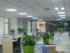 成都植物租赁对办公室花卉植物风水摆放有讲究