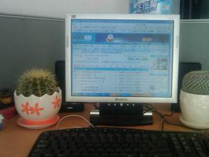 成都花卉租赁公司浅谈仙人球放在电脑的哪个位置好？