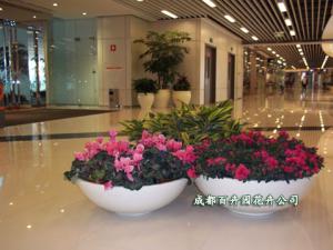 商场花卉租赁、商场花卉租摆布置方案