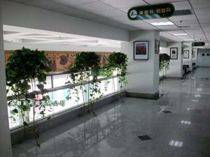 医院植物租赁、医院植物租摆绿化方案