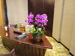 花卉租摆、办公室前台花卉租摆的重要性
