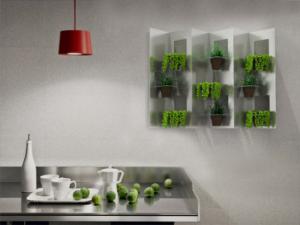 成都植物租赁公司在办公室摆放绿色植物的技巧及作用