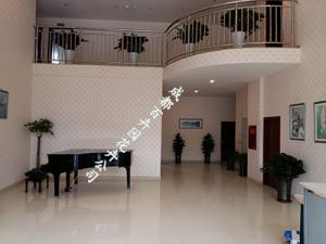 成都植物租赁公司为您解决办公室摆放植物养护管理中常见病症