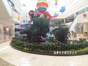 室内租摆盆栽植物真的好还是假盆栽植物好？